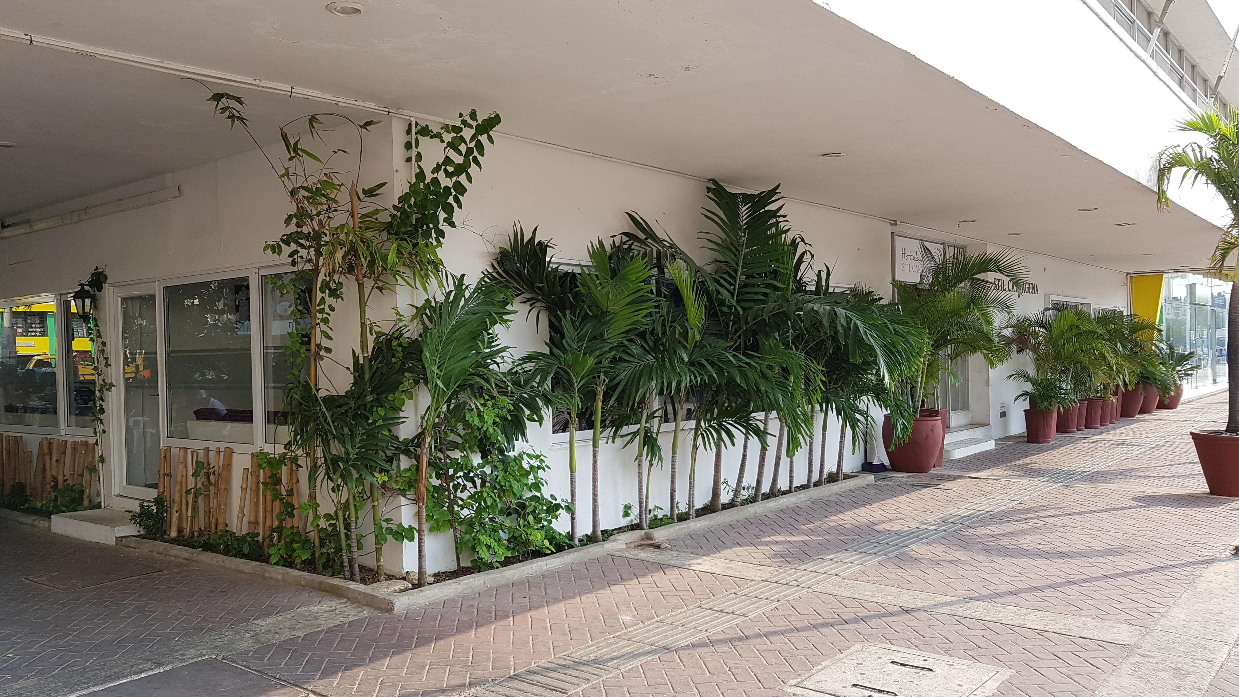 Hotel Stil Cartagena Εξωτερικό φωτογραφία